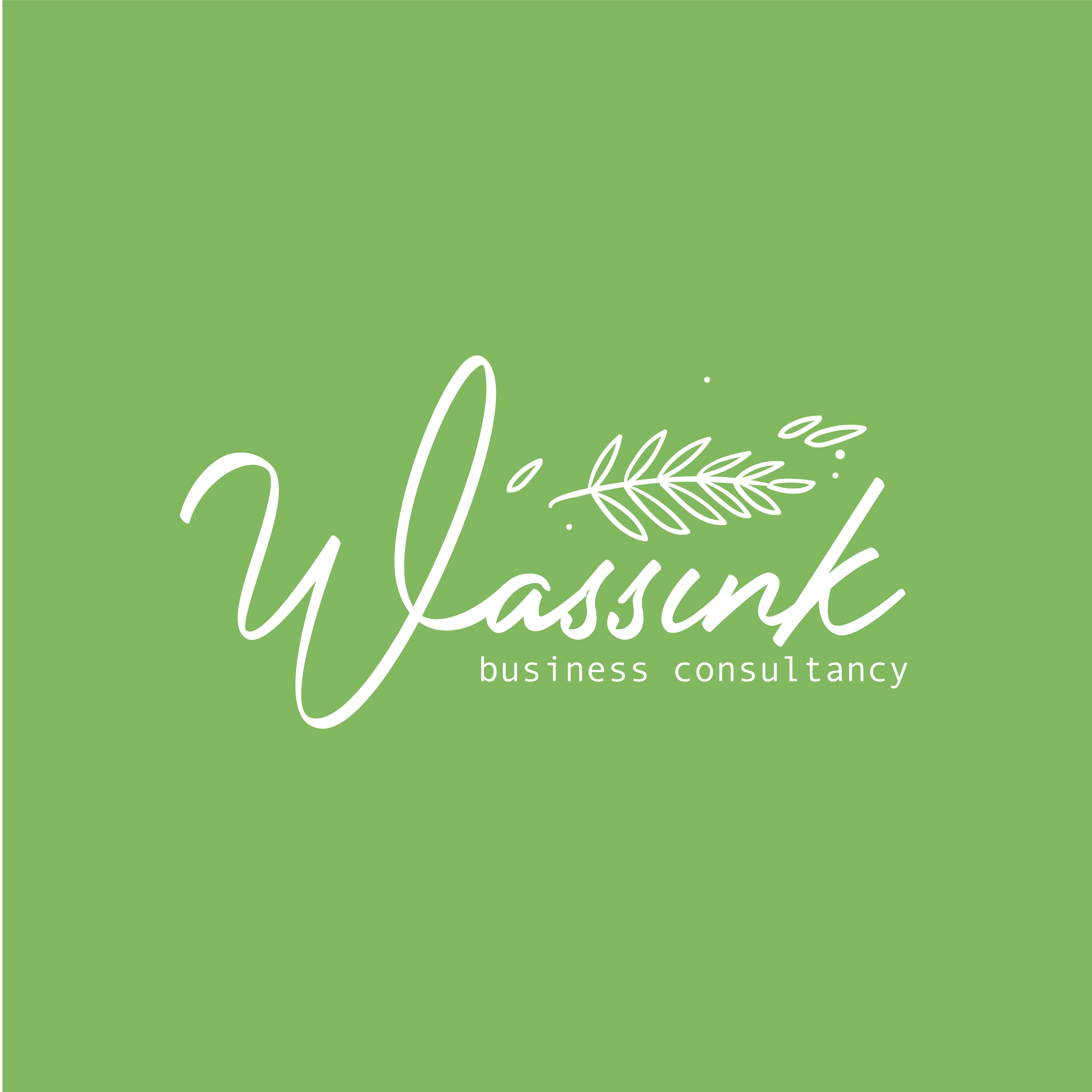 Wassink Business Consultancy